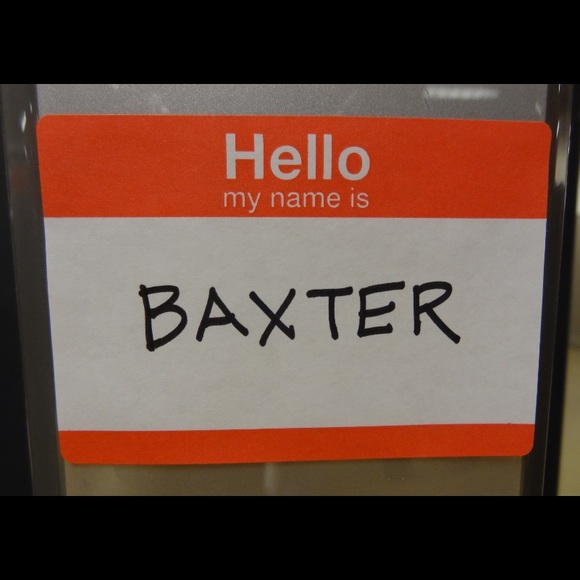 Meet your Posher, Joseph - Picture 3 of 3